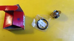 ��������� 1880239 1880239 ����