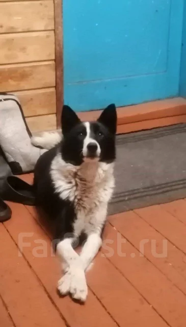 �����. ����