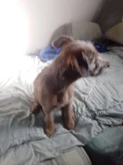 ������. ����
