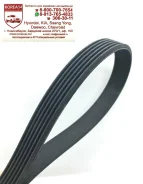 ������ 6PK1740 ������������ 050 006 1740 Meyle 0500061740 ����