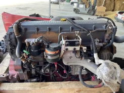 Iveco Stralis ����