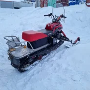 Irbis Dingo T150. ��������, ���� ���, � �������� ����