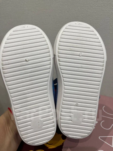 �����. 26 ����