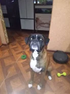 ������. ����