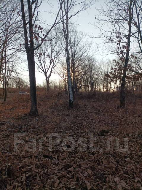 Расчистка участка/Пилка деревьев/Корчевание/Планировка участка /Дренаж ...