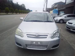 Toyota Allex. NZE121, 1NZFE ����