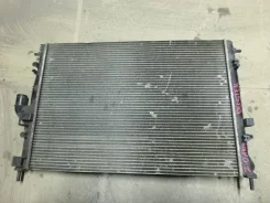 �������� �������� Renault Duster 214100598R 214100598R ����