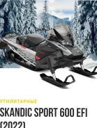 BRP Ski-Doo Skandic Sport. ��������, ���� ���, ��� ������� ����