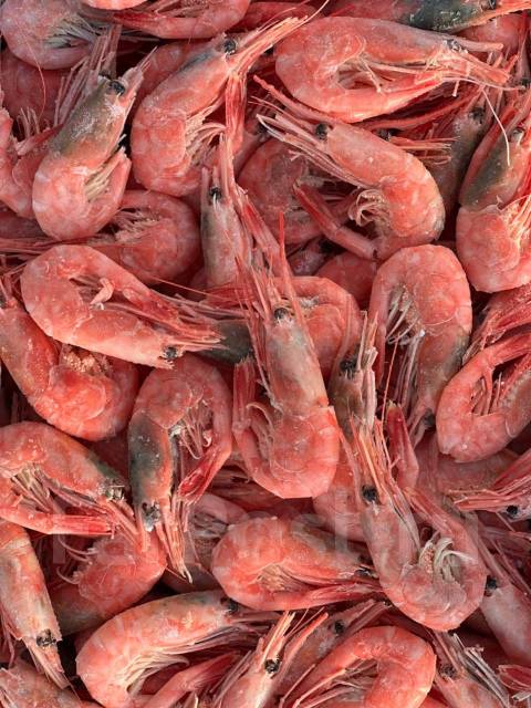 Креветка северная, варёно-мороженая - Рыба и морепродукты во Владивостоке