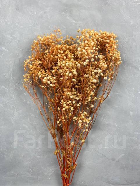 Сухоцветы натуральные. Гипсофила стабилизированная. Большой банч