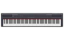 �������� ���������� Yamaha P-105B ����