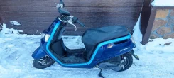 Honda Dunk. 49����. ��., ��������, ��� ���, ��� ������� ����