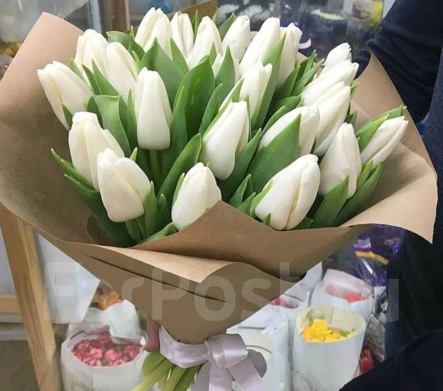 Тюльпаны приморские сортовые в премиальном качестве, новый, в наличии ...