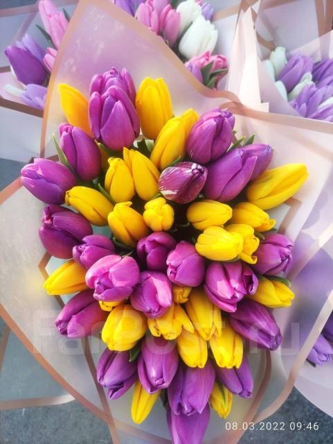 Тюльпаны приморские сортовые в премиальном качестве, новый, в наличии ...