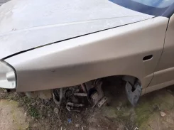 ����� ���� ������ �15 ����
