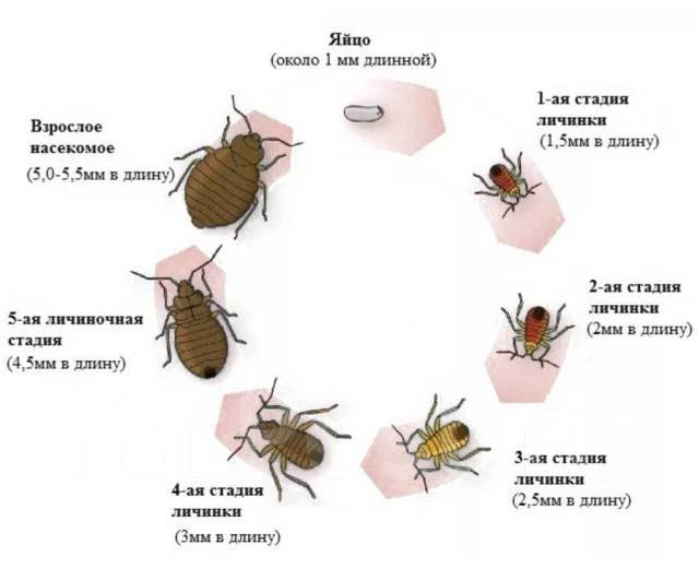 Где найдется все живет