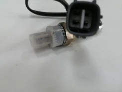 ������ ���� 11158 ����