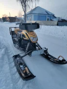 Irbis Dingo T150. ��������, ���� ���, � �������� ����