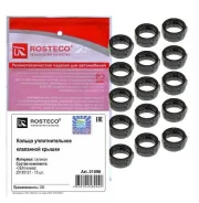 ��������� ����� ������ �������� 25185121/21096 �������� 15 ���� Rosteco 21096 ����
