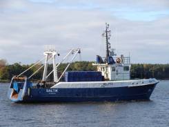 ��������. ��� ����. ����� ���������� 8 ���. 17 ����