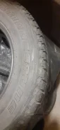 Bridgestone Blizzak DM-V1. ������, ��� �����, 2019 ���, �/�, ����� 20 % ����