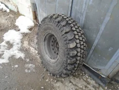 Forward Safari. ����� at, �/�, ����� �� 5 % ����