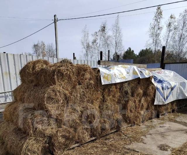Сено для мульчи, в наличии. Цена: 250₽ в Хабаровске