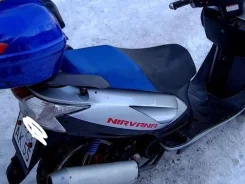 Irbis Nirvana. 150����. ��., ��������, ���, � �������� ����