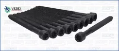 �������� ������ ��� AUDI-SEAT-Skoda-Volkswagen # 2004- # AXX, �BGB, �BPJ, �BUL, �BWA, �BWE, �BRC, �BPG, �BYK, BYT, BZB, CDAA 1798/1984 CC # Ajusa 8103...