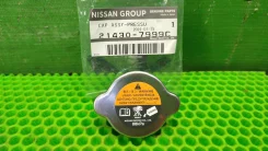 ������ ��������� Nissan 214307999C 214307999C ����