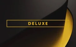 PlayStation Plus. ����