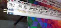 ����� ��������������. ����