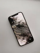 Apple iPhone 12 Pro Max. �/�, 128 ��, �������, 3G, 4G LTE ����