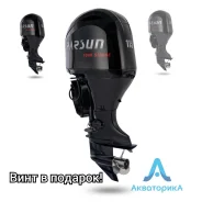 Parsun. 115��.�., 4-�������, ����������, ���� L (508 ��), 2024 ���. ��� ����� �� ������������ ����