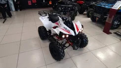 Motax ATV Raptor Lux 125. ��������, ��� ���\���, ��� ������� ����