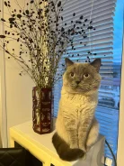 ����������� �����. ����