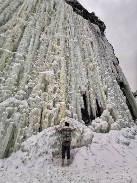 Кедровый бор фото