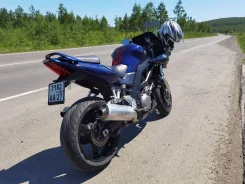 Suzuki SV 1000. 1 000����. ��., ��������, ���������, ������ �� �� ����