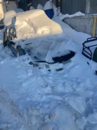 Opel Omega ����