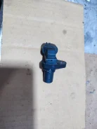 ������� ��������� �����������. ����
