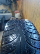 Nokian Hakkapeliitta 5. ������, ����������, �/�, ����� 50 % ����