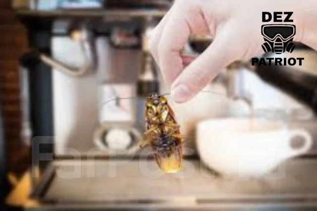 Уничтожение клещей, травля тараканов, клопов, блох. СЭС! Договор ...