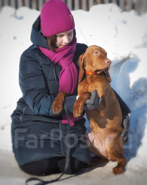 �����. ����