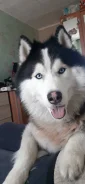 ��������� �����. ����
