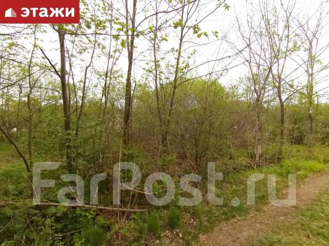 Гисметео голубая нива
