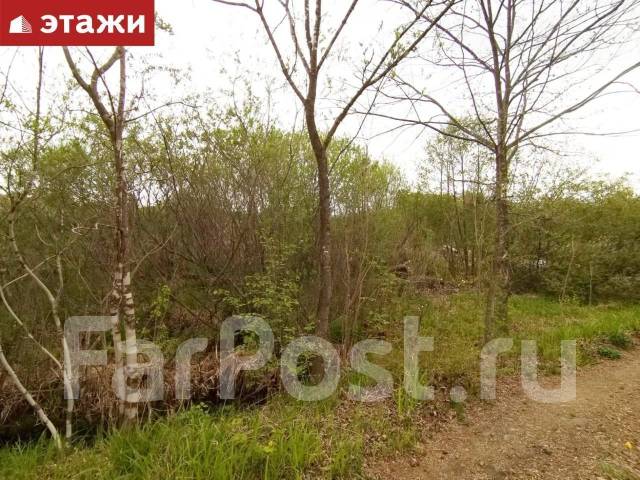 Голубая нива недвижимость