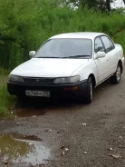 Toyota Corolla. �������, 4wd, ������ ����