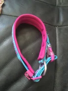 ��������. ����