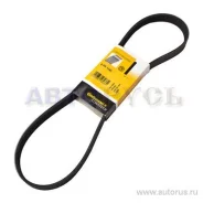 ������ ������������ 6PK1045 ContiTech 6PK1045 (028903137B/028903137BB/028903�137T/06F260849E) 6PK1045 ����