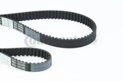 ������ ��� ContiTech CT957 SET (036109119AC) CT957SET ����